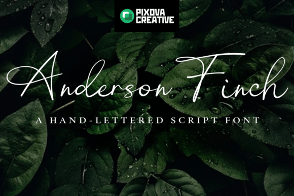 Anderson Finch: The Script Font for Scroll-Stopping Marketing
