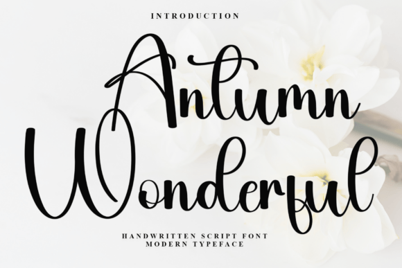 Antumn Wonderful: A Script Font for Modern Web Design