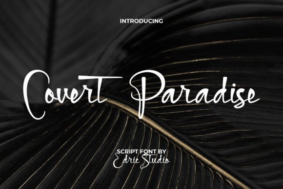 Covert Paradise: The Script Font for Scroll-Stopping Marketing