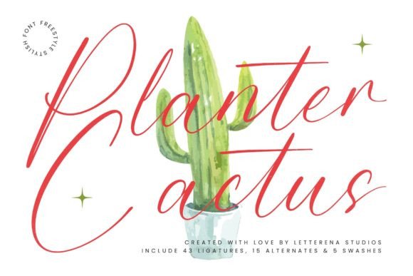 Planter Cactus: A Stylish Script Font for Makers
