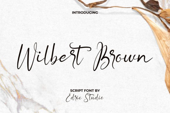 Wilbert Brown Font: The Secret to Scroll-Stopping Social Graphics